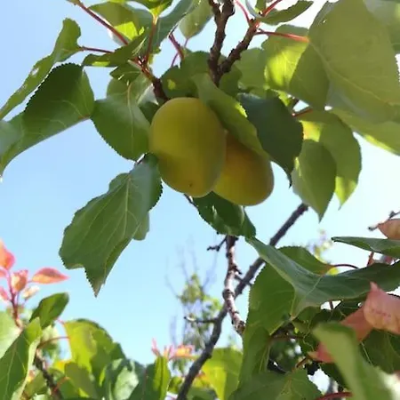 Mimi Ferienhaus Ostuni